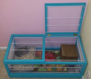 bunny cage